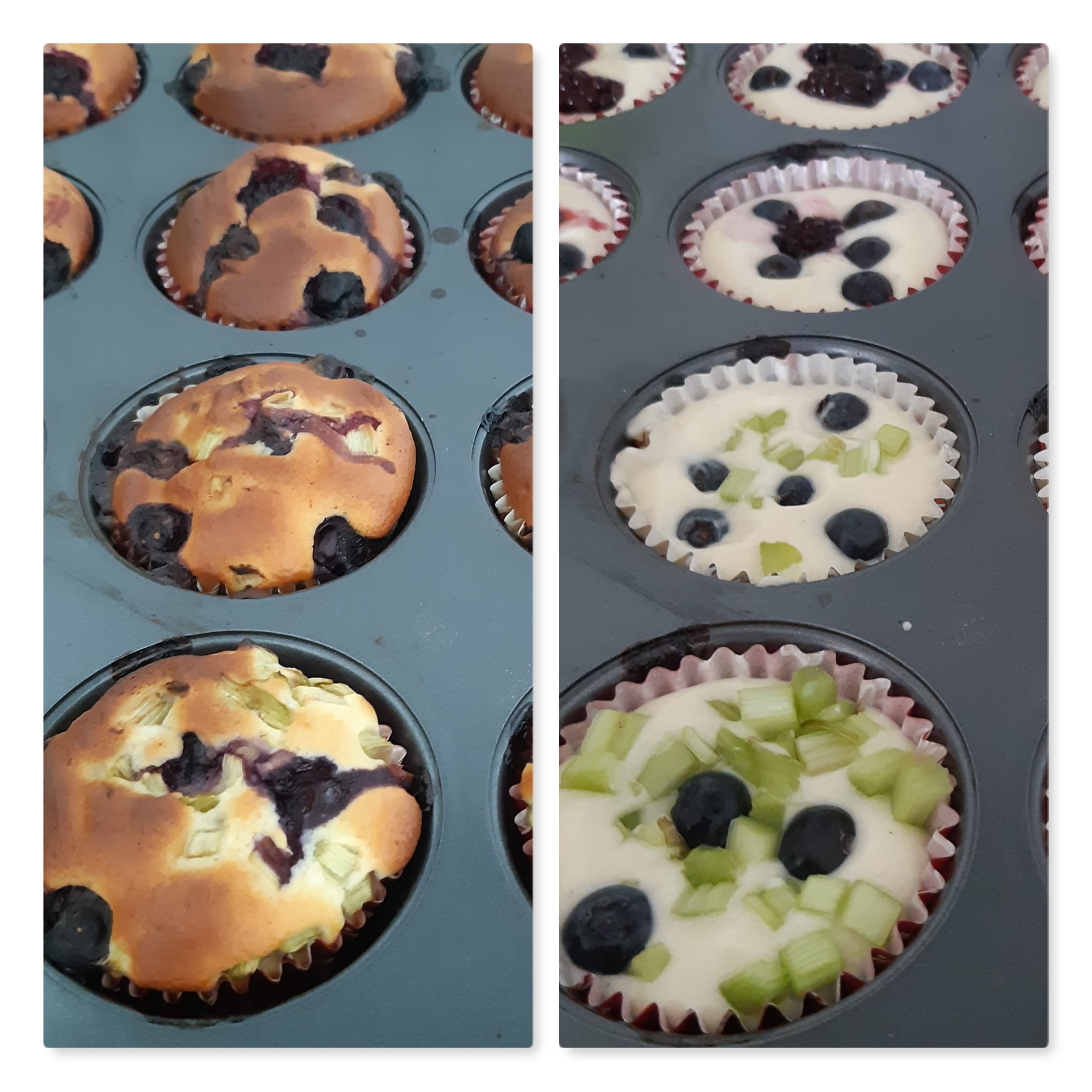 muffiny s ostružinami, borůvkami a s rebarborou