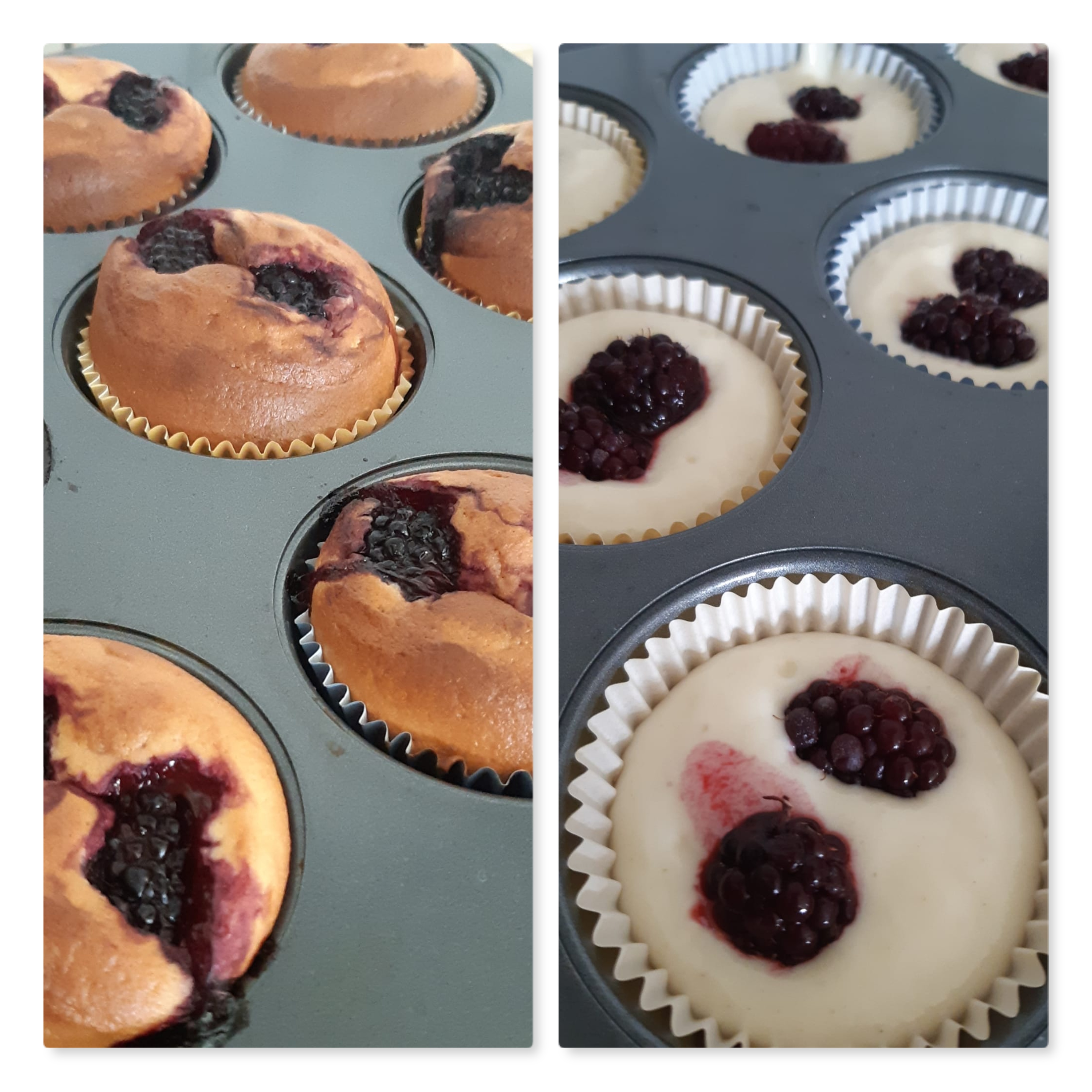 muffiny s ostružinami